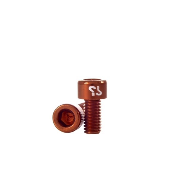 Parafuso PROTOTYPE AL M5x16 (10) Dourado