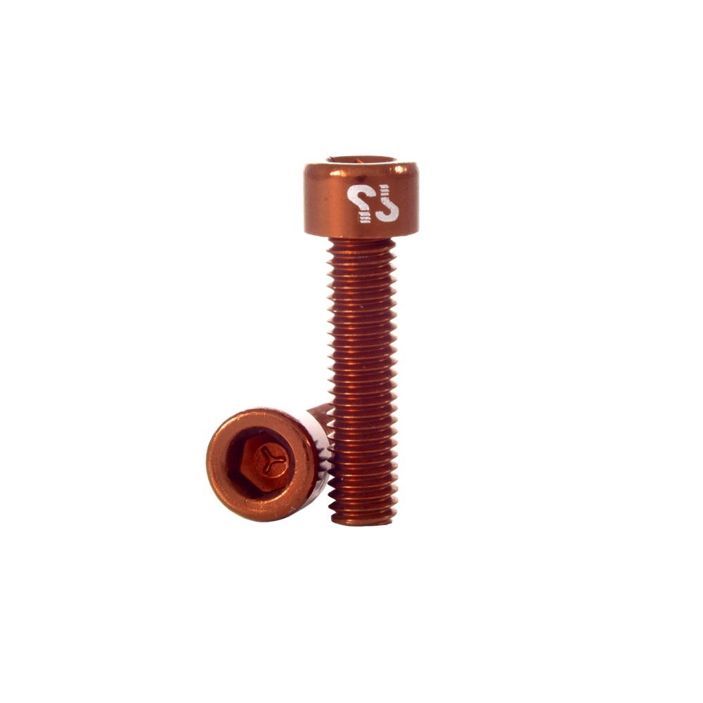 Parafuso PROTOTYPE AL M5x20 (10) Dourado