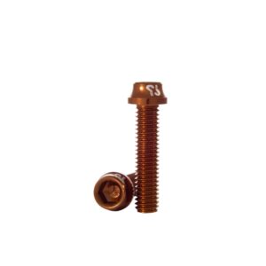 Screw PROTOTYPE AL M6x16 (10) Golden
