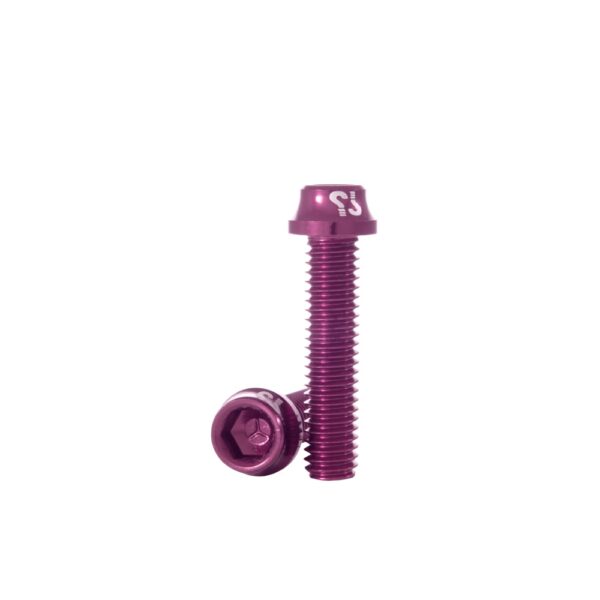 Parafuso PROTOTYPE AL M6x16 (10) Rosa