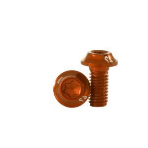 Screw PROTOTYPE AL Disc T20 (12) Golden